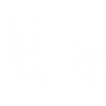 Rapidez e Eficiência